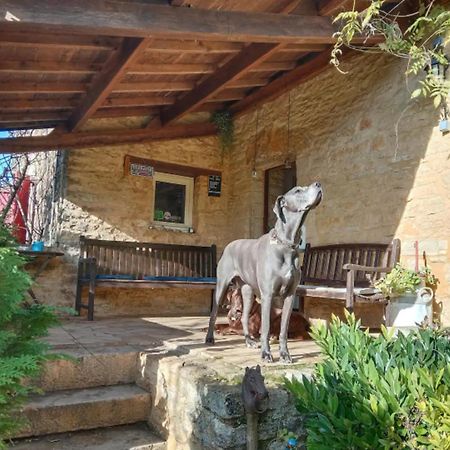 DégagnacCentre Equestre Du Passe Temps别墅 外观 照片