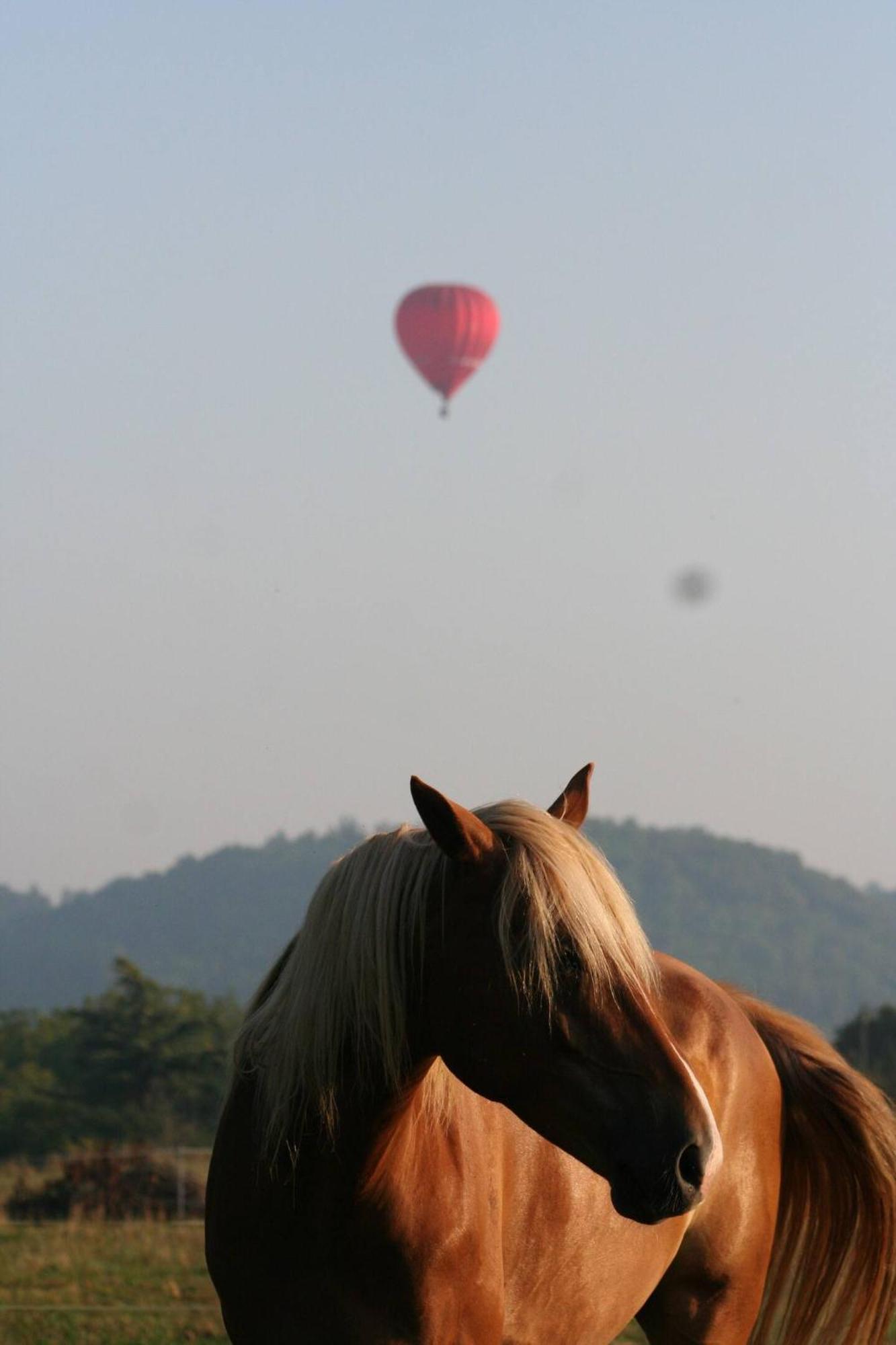 DégagnacCentre Equestre Du Passe Temps别墅 外观 照片