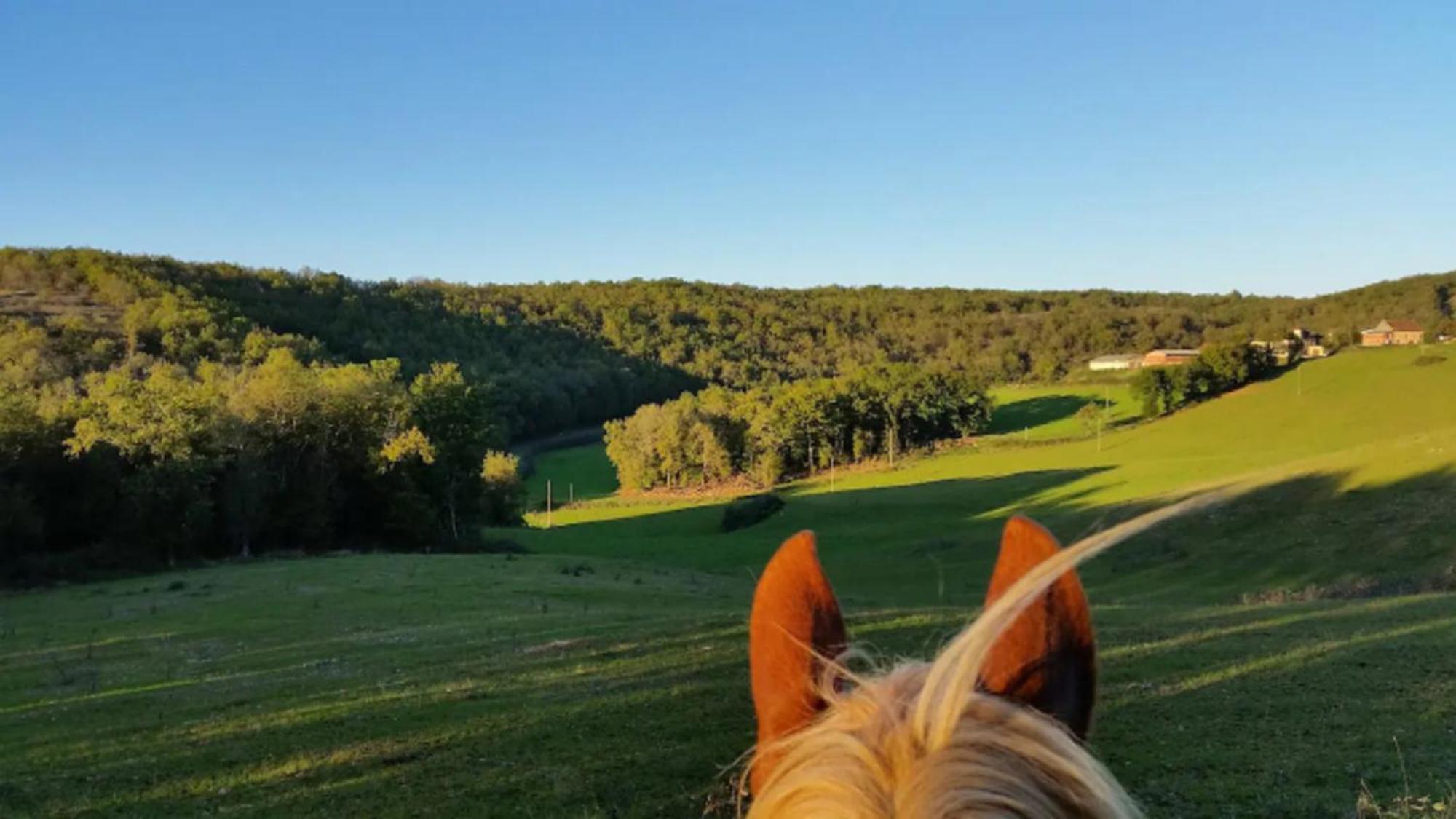 DégagnacCentre Equestre Du Passe Temps别墅 外观 照片