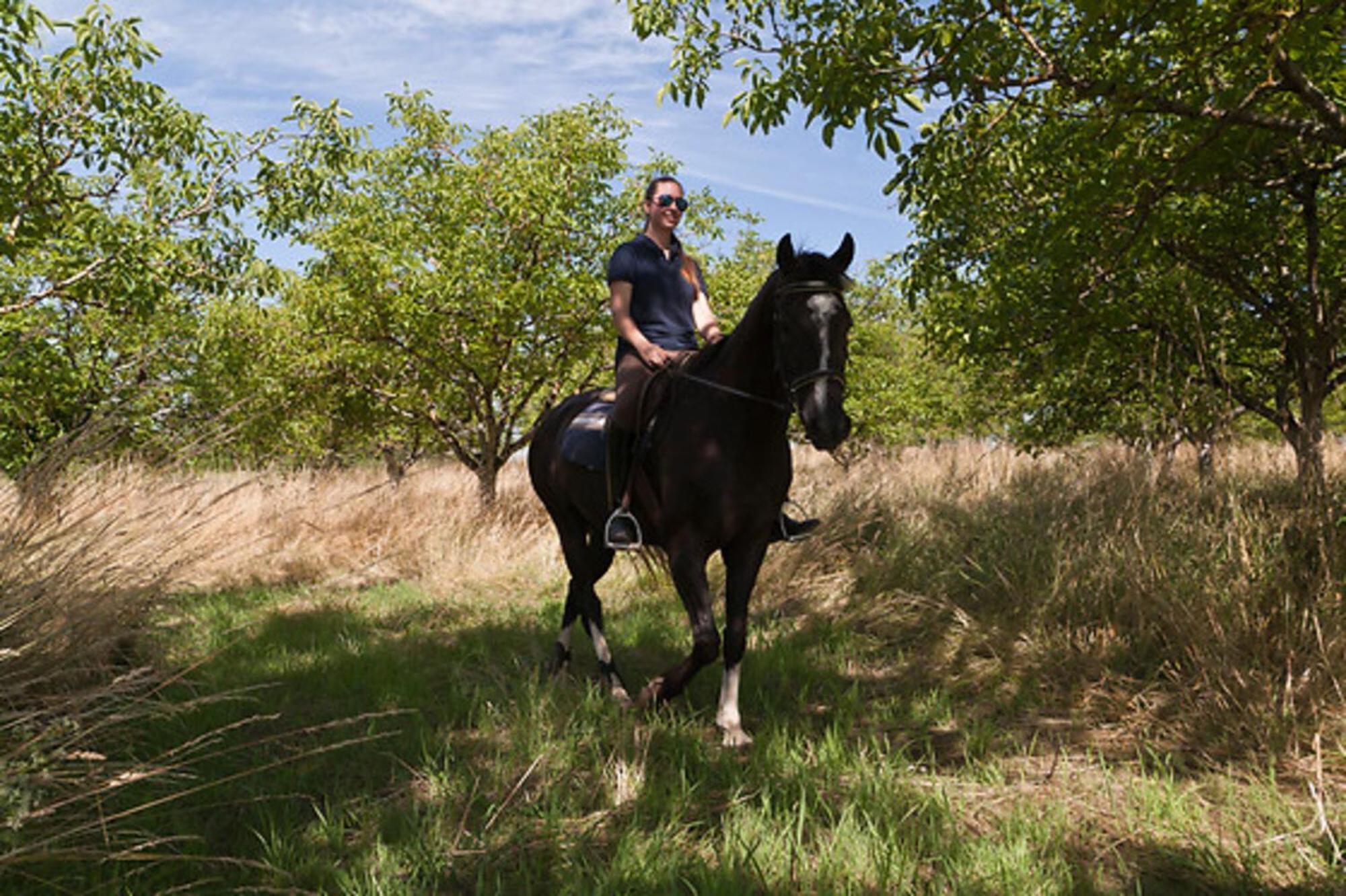DégagnacCentre Equestre Du Passe Temps别墅 外观 照片
